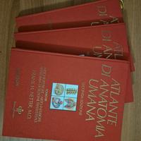 Atlante anatomia umana - Netter