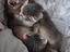 Immagine 6