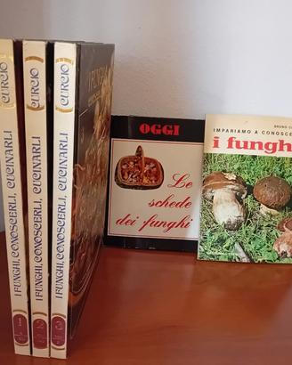 Lotto Libri e Manuali sui Funghi - Enciclopedia