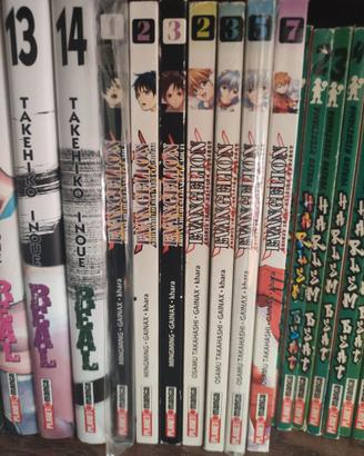 Evangelion Shinji Ikari Raising Project