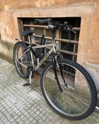 Bicicletta ragazzi Liberati