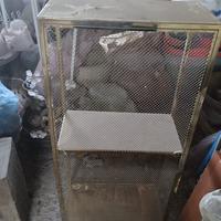 “Dispensa” d’oro