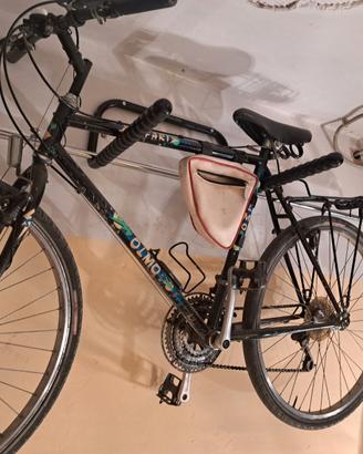 Bicicletta olmo safari