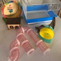 Gabbia criceto con accessori come da foro