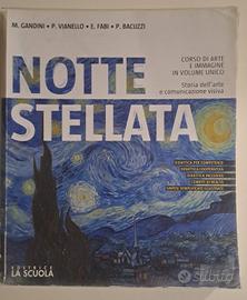 notte stellata