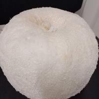 Palle/Mele giganti  innevate addobbi natalizi