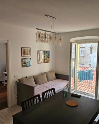 Zona via Giulia appartamento arredato