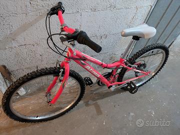 Atala Butterfly pink(usata)