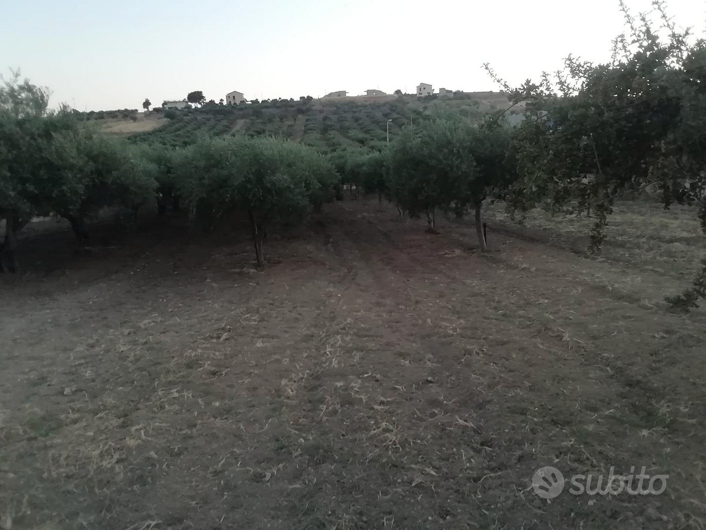 TERRENO AGRICOLO CON POTENZIALITÀ EDIFICATORIA - Vista 3