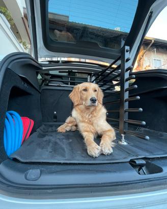 Divisorio Baule per Cane per Tesla model Y 2024