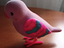 Immagine 2
