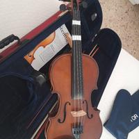 Violino