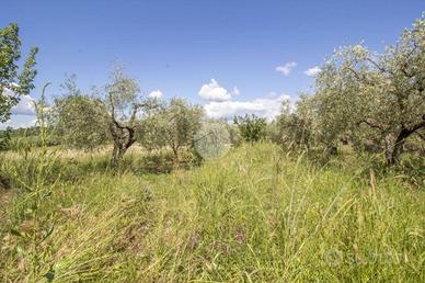 TER. AGRICOLO A MORICONE