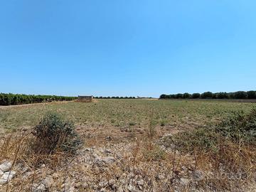 Terreno agricolo mq 22000 a km 1,5 dal mare