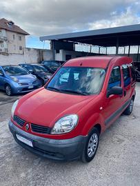 Renault Kangoo 1.2 Benzina 2008 TAGLIANDATA