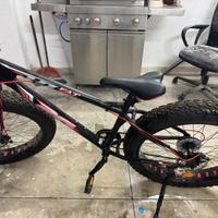 Fat Bike