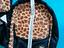 Immagine 4