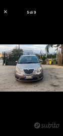 Lancia musa