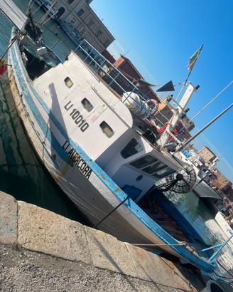 Barca da piccola pesca
