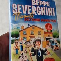 Manuale dell'uomo domestico