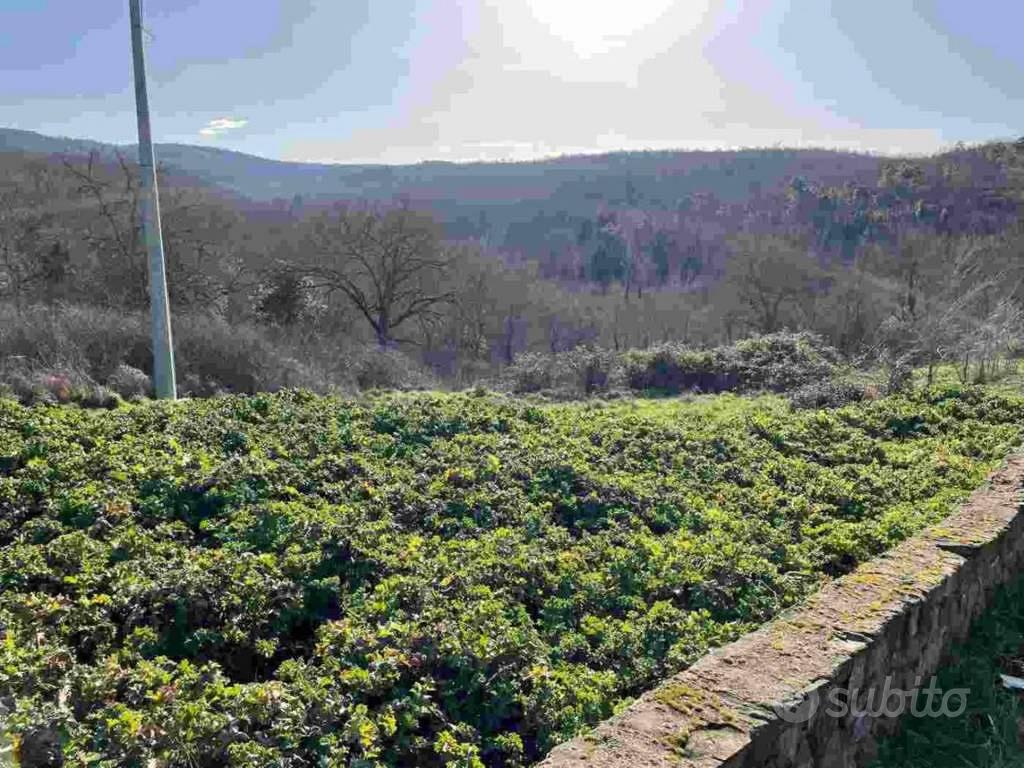 Immobile in asta di 34322 m² a Bucine - Altro