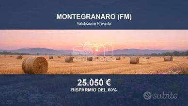 Immobile in asta di 12530 m² a Montegranaro