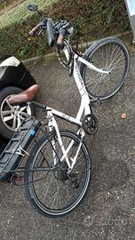 Bici Elettrica 