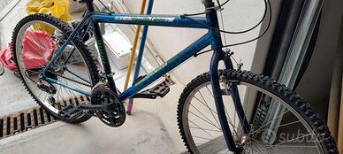 Bicicletta