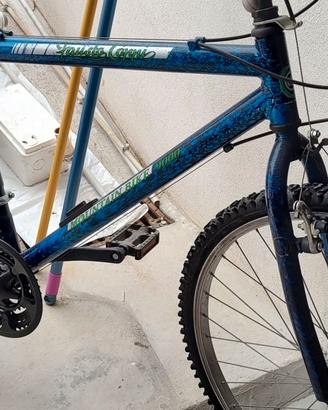 Bicicletta