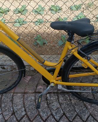 bicicletta da donna 