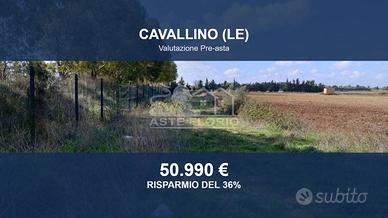 Immobile in asta di 22562 m² a Cavallino