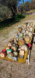 Collezione di sveglie 