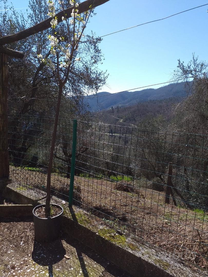 Rustico con terreno indipendente - Vista 4