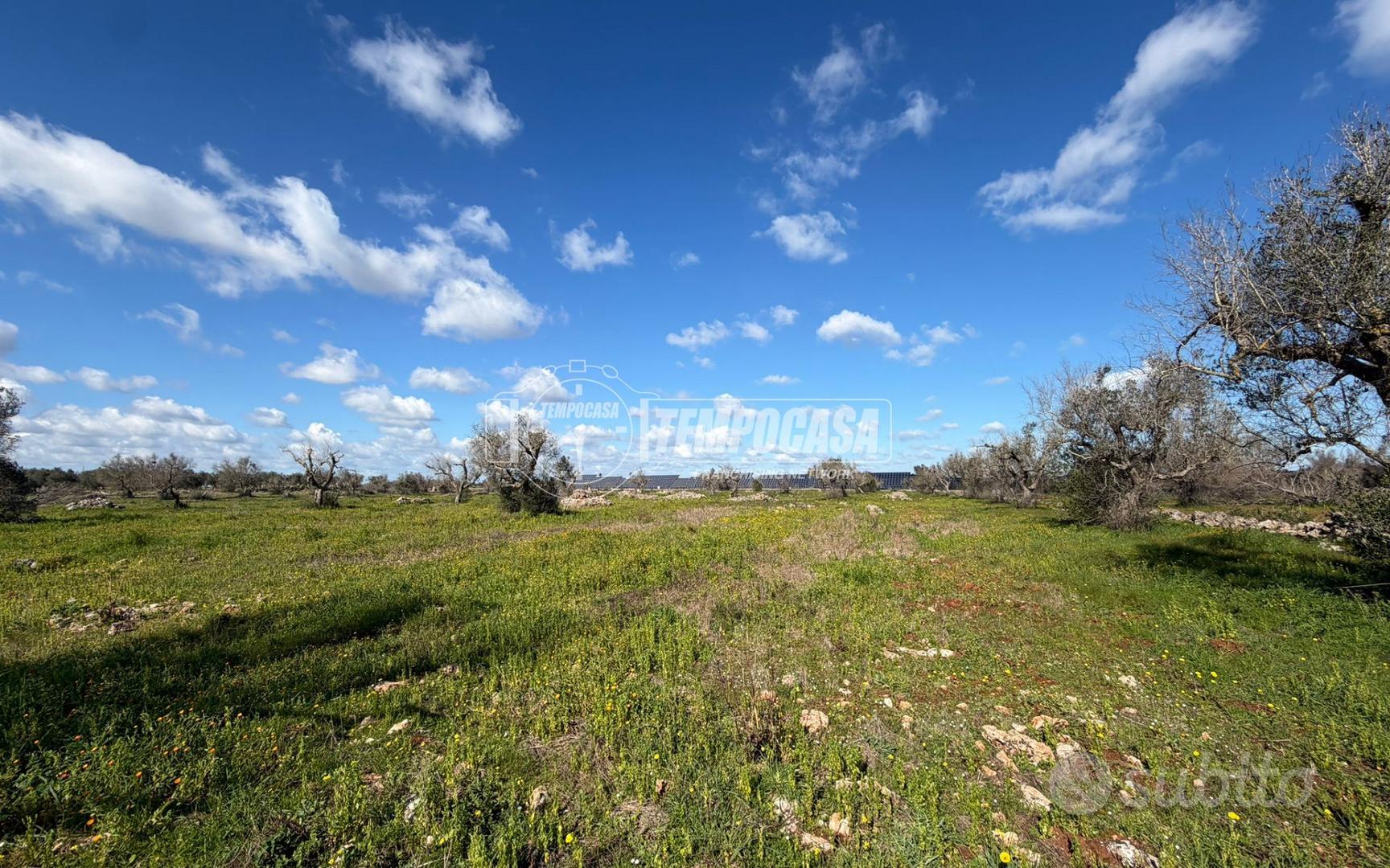 Terreno agricolo a Sanarica 1 locali - Vista 5