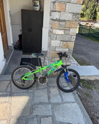  MTB da bambino 22 
