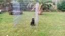 box-auto-box-cani-recinzioni-cancelli