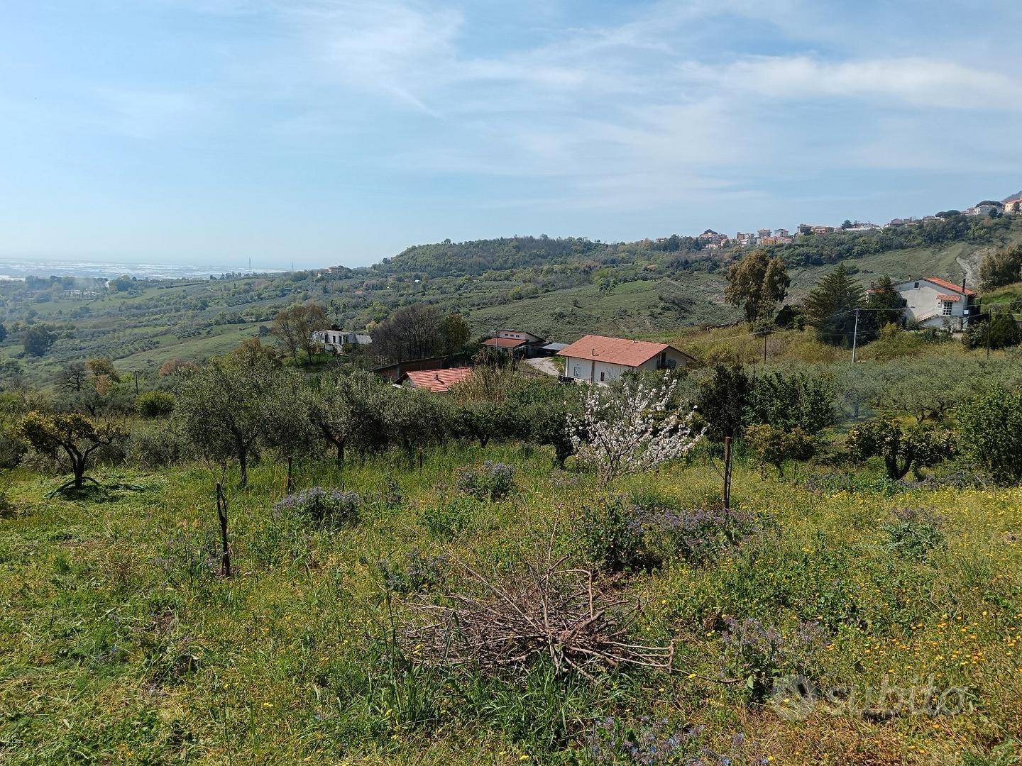 Terreno agricolo - Vista 4