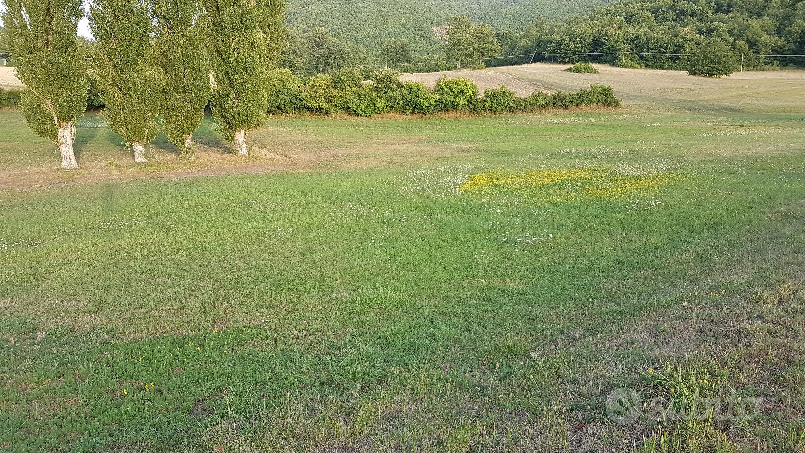 Vendita prato agricolo - Vista 2
