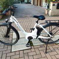 Bicicletta elettrica
