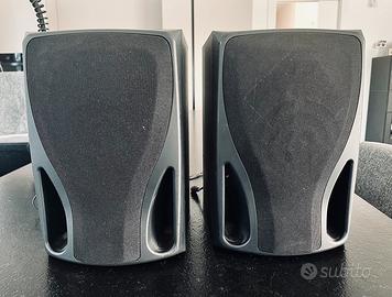 Casse acustiche da collegar a amplificatore stereo