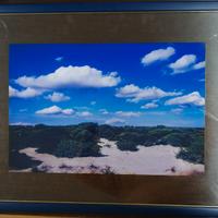 Cornice portafoto in legno blu, con vetro e compl