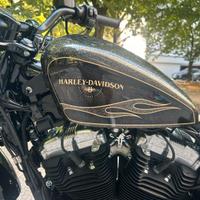 Harley Forty Eight perfetta