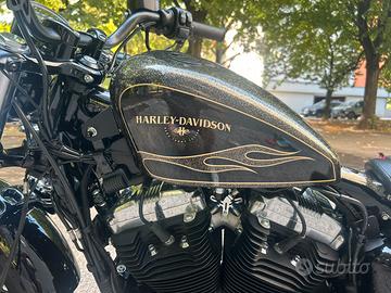 Harley Forty Eight perfetta