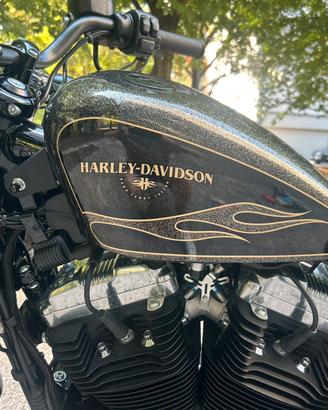 Harley Forty Eight perfetta