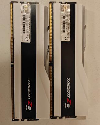 RAM ddr5