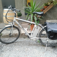City bike elettrica
