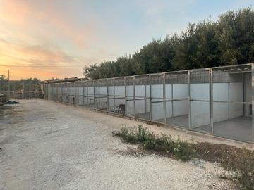 12 Box modulari 5x2 metri coibentati