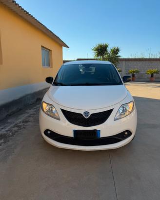 Lancia Ypsilon 2018 1.3 95 cv diesel