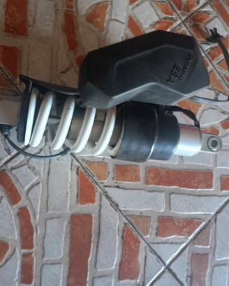 ammortizzatore esa BMW RS GS 1200
