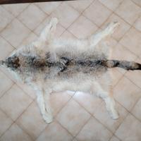 scendiletto in pelle di lupo siberiano 